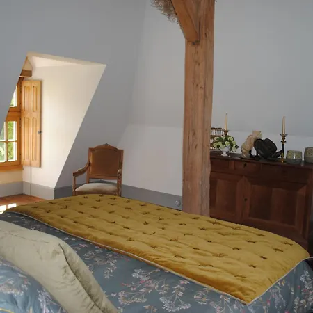 Dans Un Chateau Dans Le Anjou